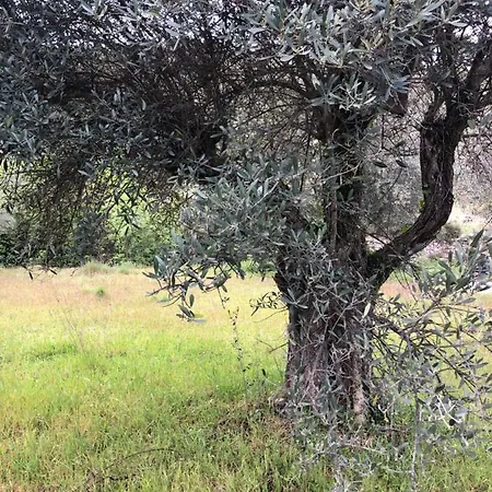 Couette-café Les Garrigues Bleues 3*